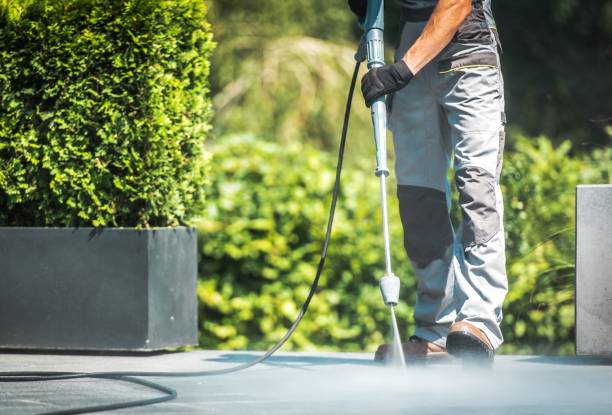 Best Solar Panel Cleaning  in Stroville, CA
