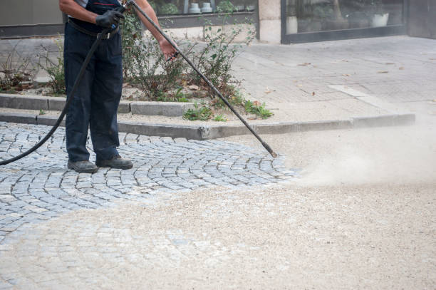 Best Animal Enclosure Cleaning  in Stroville, CA